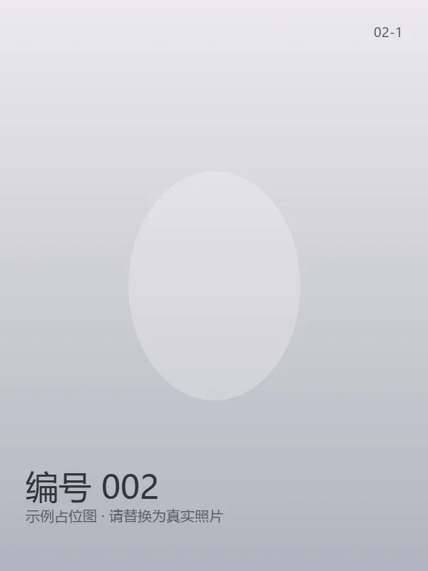 编号 002 3