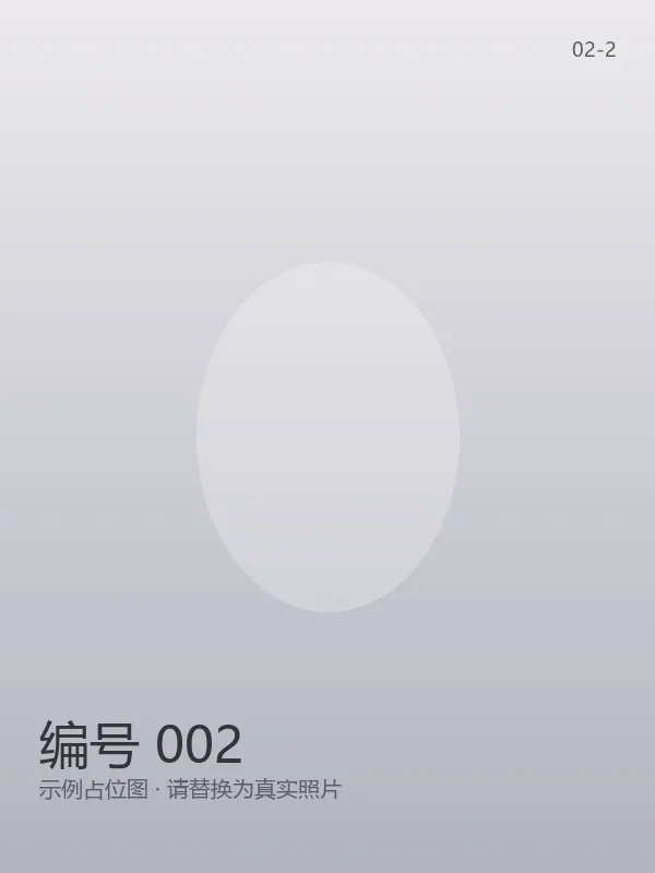 编号 002 4
