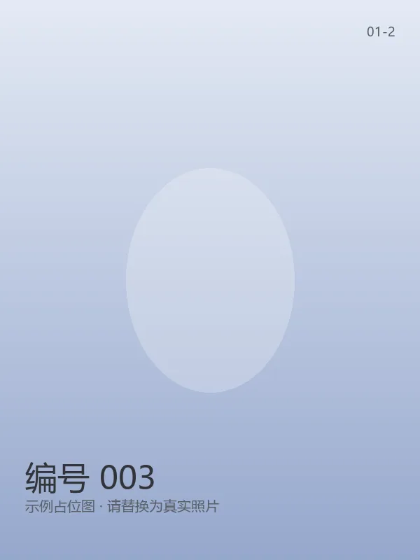 编号 003 2
