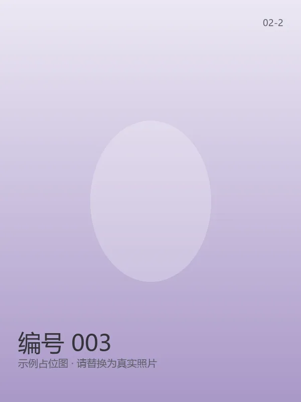 编号 003 4