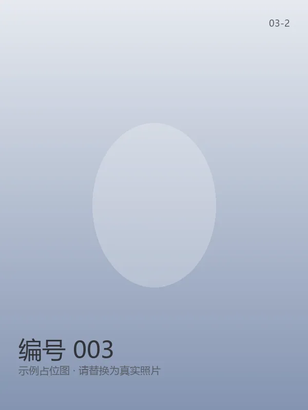 编号 003 6